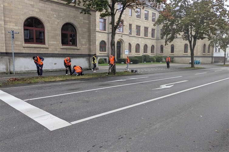 Teilnehmer bei Einpflanzen der Frühlingsblüher