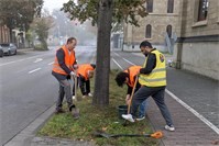 Einheitsbuddeln in Neuwied stärkt Biodiversität und Gemeinschaft