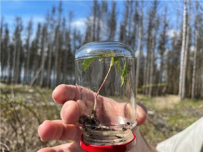Teilnehmern hatten die Möglichkeit, die Schöpfung ganzheitlich, für Kopf, Herz und Hand auf eine neue Art und Weise zu erleben.