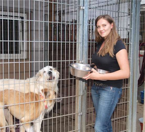 Teilzeitkraft Evi Fiege übernahm die abendliche Fütterung der 25 Hunde.