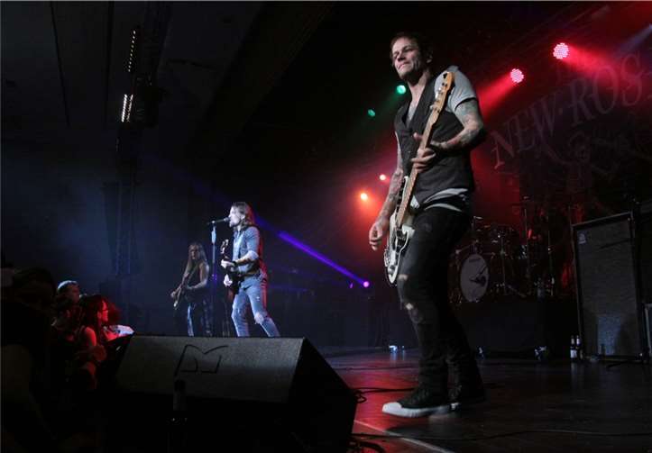 ´The New Roses` ...