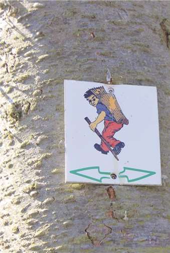 Themenweg „Würzlaysteig“.Privat