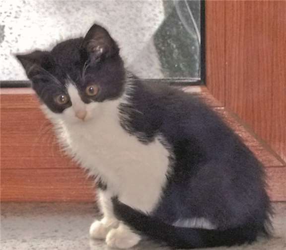 Theo ist ein Schmuser.privat