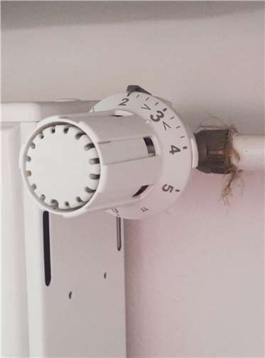 Thermostatventil auf Stufe zwei. Foto: Verbraucherzentrale Rheinland-Pfalz e.V.