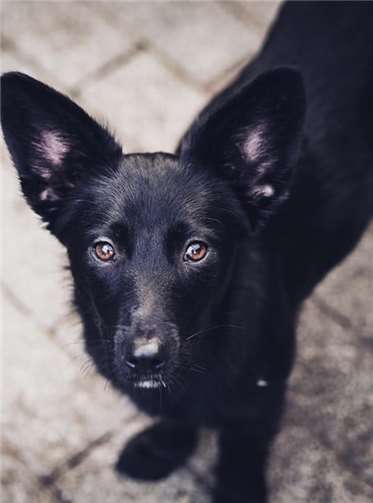 Thilia ist noch etwas unsicher und muss noch viel lernen.