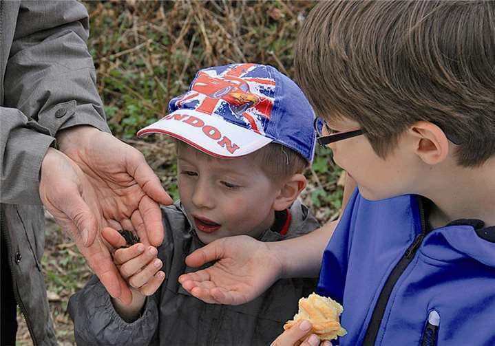 Tiere beobachten ist spannend.