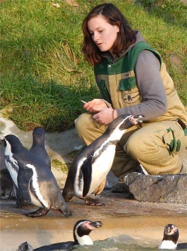 Tierpflege ist Teil der Arbeiten im Ökologischen Jahr.Fotos: Zoo Neuwied