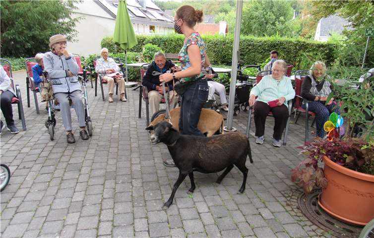 Tierwartin Christina Bliss besuchte das Johanniter-Haus mit ihren Tieren Lilly und Meggi. Die Bewohner waren begeistert. Fotos: privat