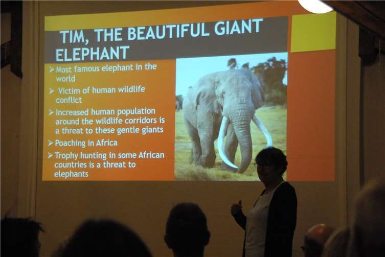 Tim ist nach den Worten Eric Otienos der schönste und berühmteste Elefant auf der Welt.