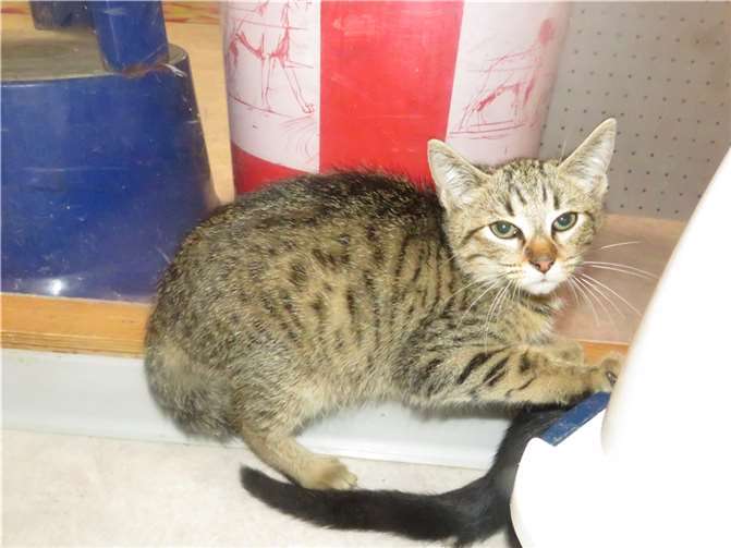 Timothy. Fotos: privat