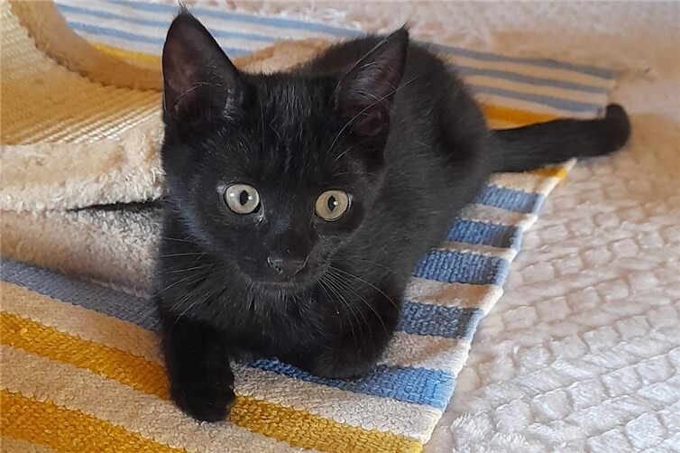Tina