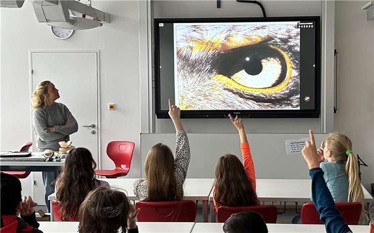 Tina Fritzsche erklärt die Unterschiede zwischen Adler- und Menschenauge.  Quelle: Erzbischöfliches St. Joseph-Gymnasium Rheinbach