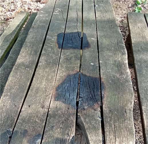 Tisch an der Schutzhütte.