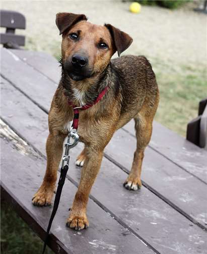 Titus sucht Anschluss. Privat