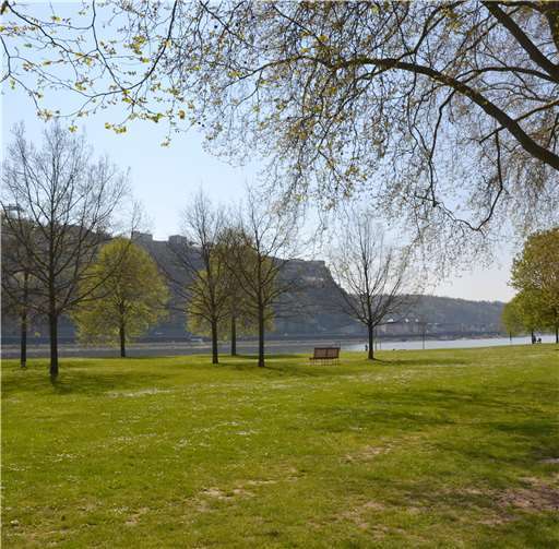Tolle Aussicht: Neue Infrastruktur soll die Grillwiese am Neuendorfer Rheinufer noch attraktiver machen.Foto: Stadt Koblenz