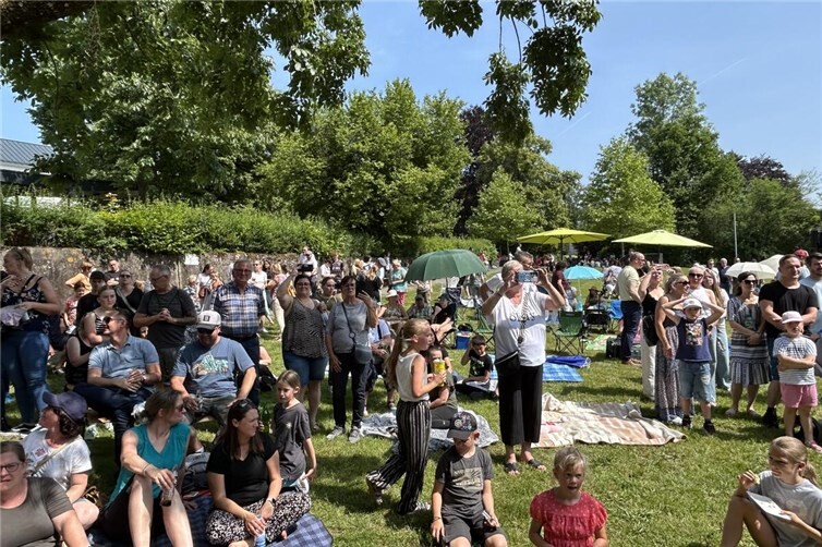 Tolle Stimmung beim Picknickkonzert