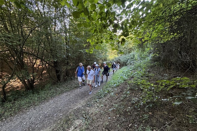 Tolles Wanderwetter!