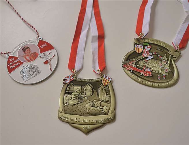 Tollität, Kindertollität und Gesellschaft präsentieren die Orden der Session 2015. privat