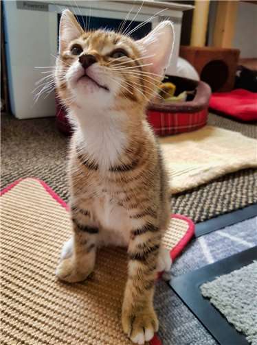 Tommi und seine Schwester ...