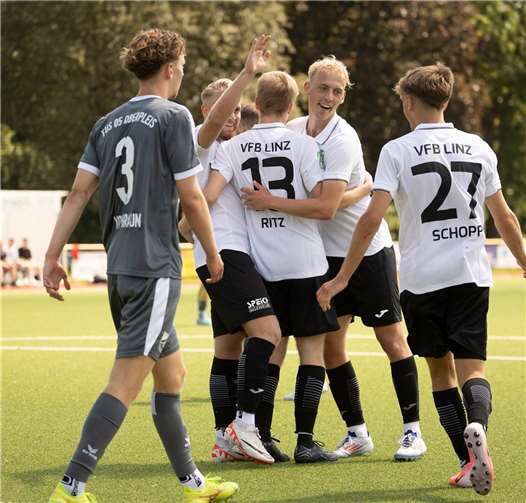 Torjubel: Fabio Schopp und seine Mitspieler.