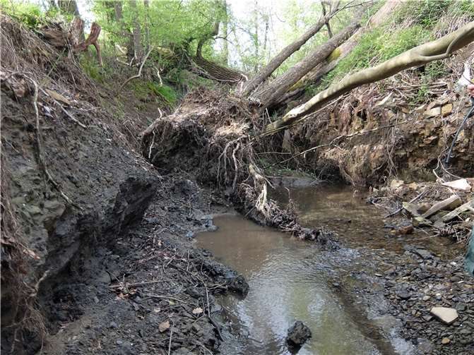 Totholz und Unrat im Bach machen große Sorge.
