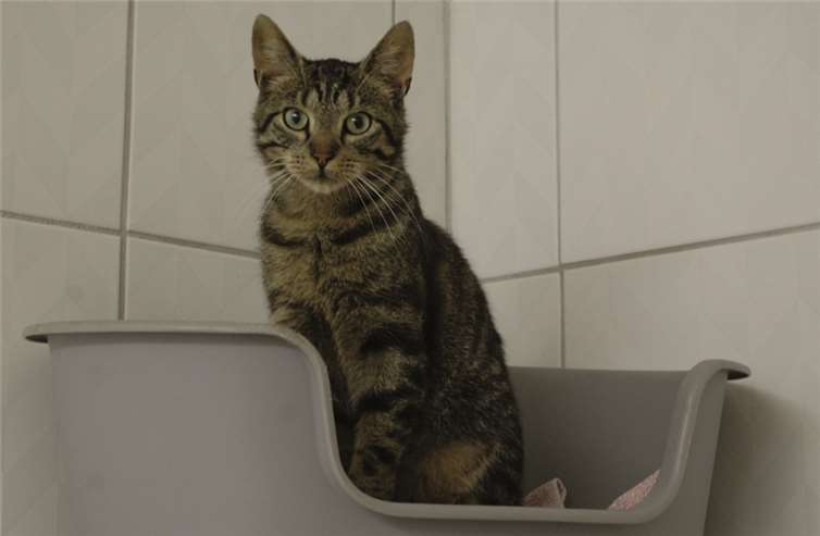 Trabi hat alles im Blick.privat