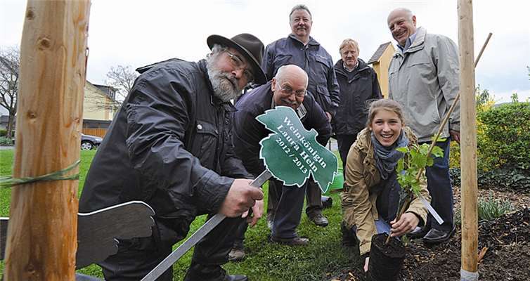 Traditionell pflanzt die Bachemer Weinkönigin im Jahr ihrer Regentschaft im Ort eine Rebe, so auch die amtierende Weinmajestät Laura Hein. Fix