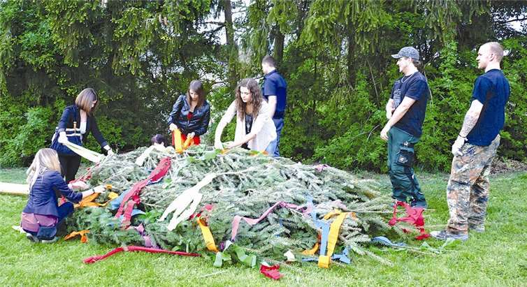 Traditionell wird am Freitag der Kirmesbaum aufgestellt, welcher vorher aber noch geschmückt werden muss. -Archiv-SF-