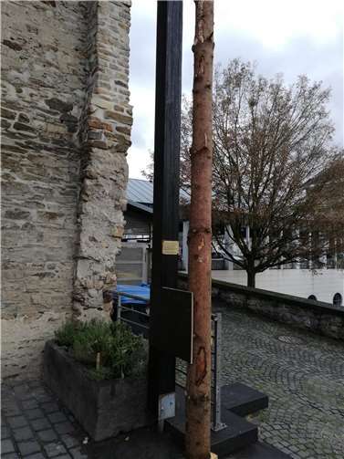Tragpfosten mit stützendem Baumstamm, beides im Boden verankert, tlw. vorübergehend.Fotos: Verkehrsverein Vallendar