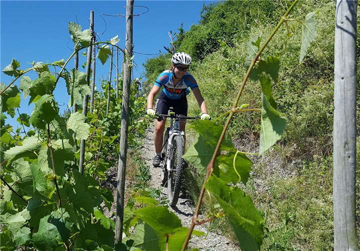 Trailabfahrt durch den Wingert im Bopparder Hamm.Quelle: Tus Rhens