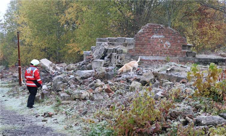 Training im Trümmerhaus.Fotos: Manuela Meier-Hirsemann