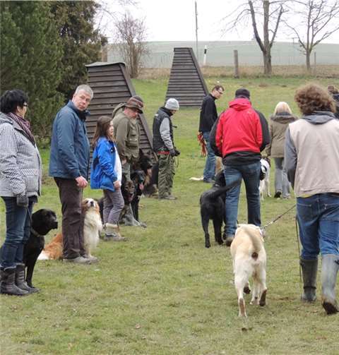 Training in der Gruppenstunde.