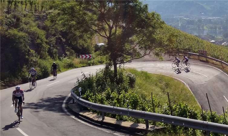 Traumwetter begleitet die Marathonis auf ihrem Weg durch die Weinberge in Pommern.privat