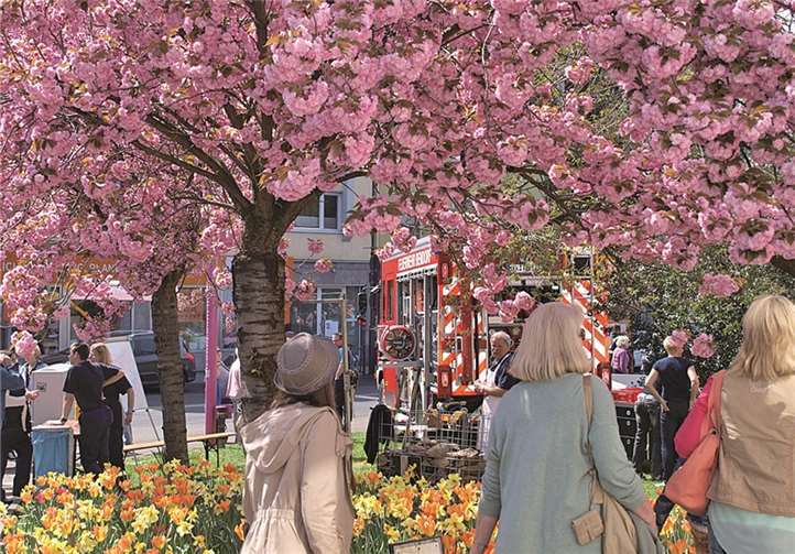 Traumwetter und herrliche Anblicke mitten in der Stadt Bendorf.
