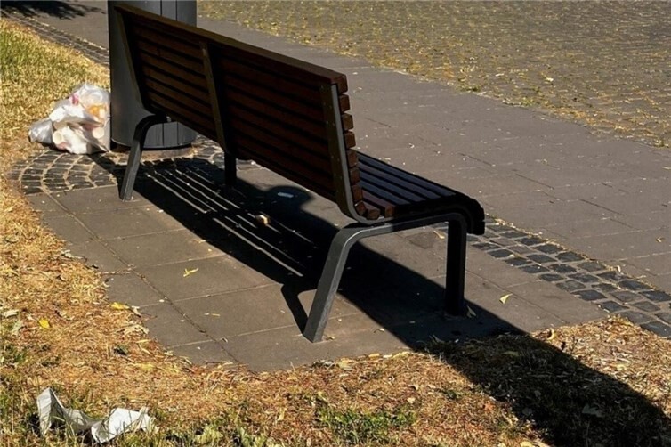 Traurig, aber wahr - achtlos weggeworfener Müll!