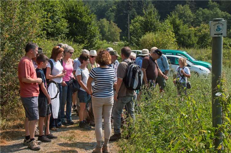 Treffen der Schmetterlingsfreunde bei optimalem Schmetterlingswetter Rea Brinkhoff, NABU KV Ahrweiler