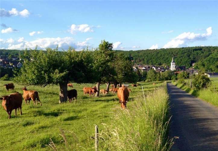 Treffpunkt und Einteilung, wer wo sauber macht, ist am Samstag, 28. März, um 9 Uhr am Bürgerhaus Königsfeld.Foto: privat