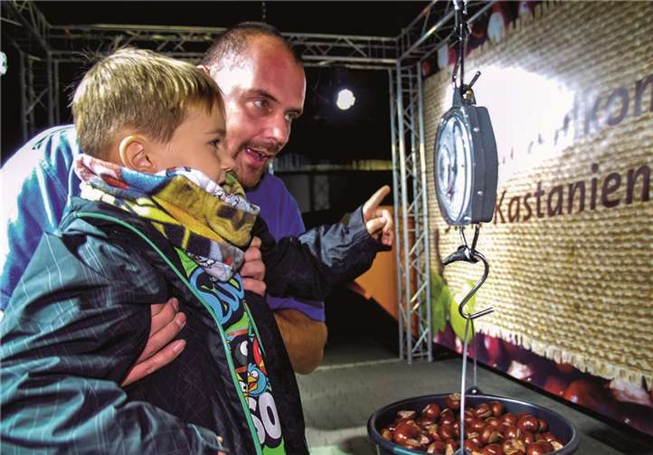 Tristan schaut ganz genau, wie viel seine Kastanien auf der Waage anzeigen. Stadtwerke Neuwied