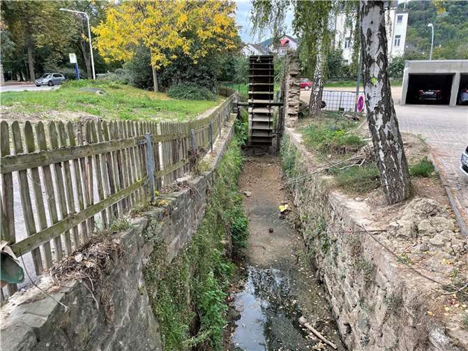 Trocken gelegt: Der Mühlenteich in Ahrweiler. Foto: ROB