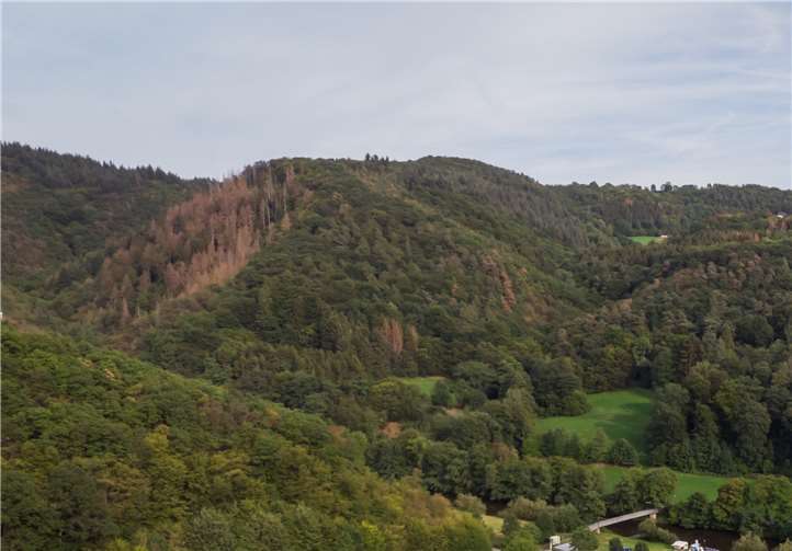 Trockenheit führt zu Gefahren im Wald. Foto: Andreas Pacek für Touristik-Verband Wiedtal