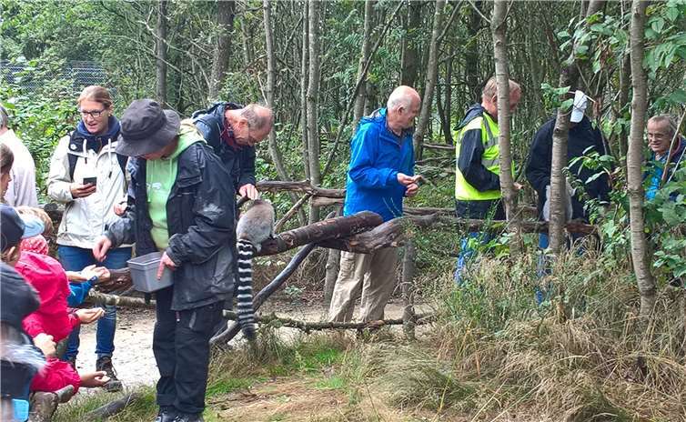 Trotz Regen - Der Ausflug ist ein voller Erfolg. Foto: privat