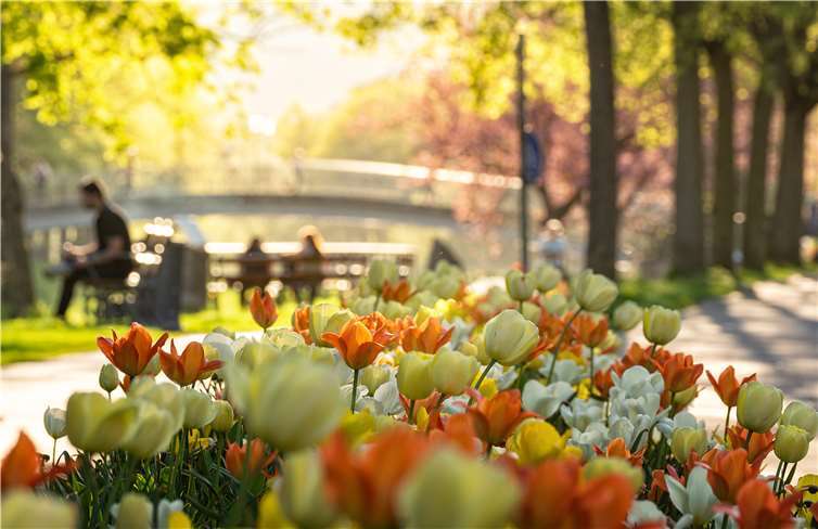 Trotz der Verschiebung beginnt jetzt der Kartenvorverkauf für die Landesgartenschau. Foto: Kai Schneiders