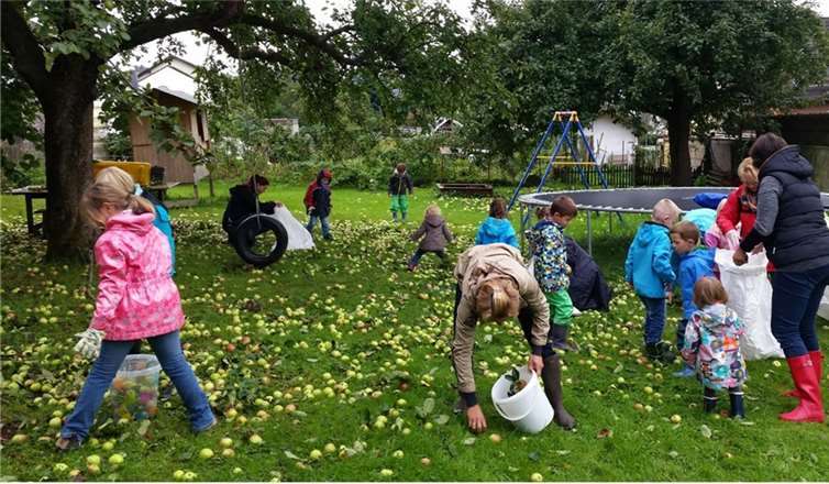 Trotz des Regenwetters sammelten die Kinder und ihre Familien fleißig circa 2100 kg Äpfel.privat