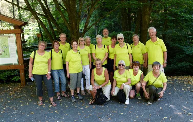 Trotz hoher Temperaturen genossen die Nordic Walker ihren Ausflug.privat