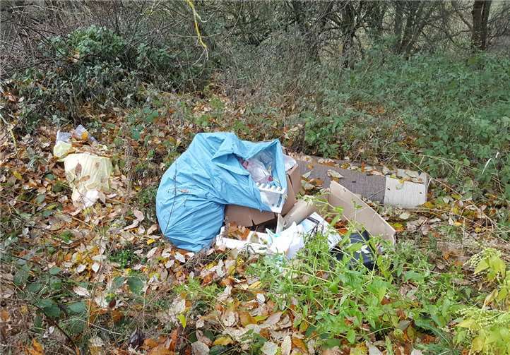 Trotz kostenfreier Sperrmüllabfuhr: Immer wieder entsorgen uneinsichtige Umweltsünder ihren Unrat in der Natur.Foto: privat