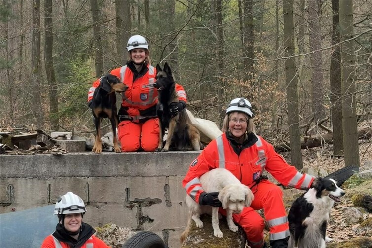 Trümmerprüfung:oben: Ellen Heusel und Vader und Daiva, Mitte: Heike Böttcher mit Lucy und Buffy, unten Saskia Douglas mit Elsa