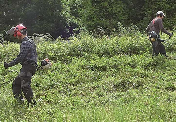 Tüchtig wurde am Arbeitstag angepackt! privat