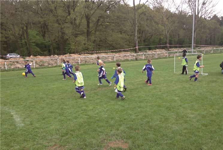 Typisch für den Bambini-Sport: (Fast) Alle wollen den Ball!privat