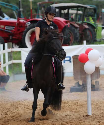 Country meets Kölsch: Reitsport vom Feinsten, Colör auf die Ohren! Über 100 pferdebegeisterte Teilnehmer zeigten großartige Leistungen in den diversen Kategorien.