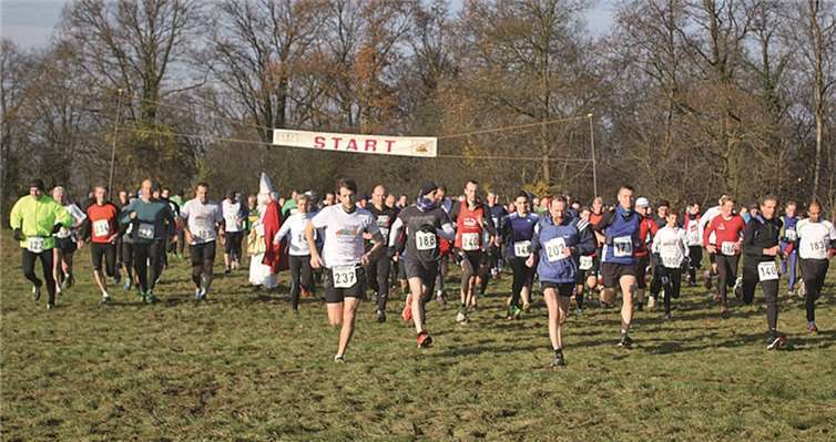 Über 120 Langstreckler, darunter mit der Starnummer 171 der spätere Sieger, Lothar Myroll, absolvierten auf der Erpeler Ley die 9.450 Meter lange Strecke des 51. Nikolauslaufes, zu dem der TuS Erpel auf das Basaltplateau geladen hatte. DL